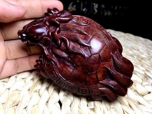 海黄紫油梨龙龟2