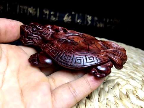 海黄紫油梨龙龟2