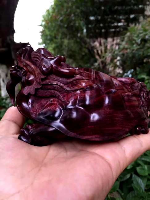 海黄精雕大龙龟华艺款取材霸王岭野生老料百年难遇的紫油梨表面光滑