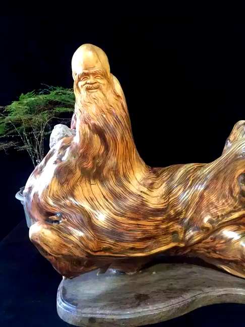 陈化料崖柏、寿仙天然独特造型、360度超炫纹理、根包石、香味浓郁、尺