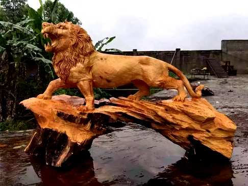 崖柏脱骨料题才“百兽之王”狮子造型宏伟有巨大的威慑力形态生动有着神