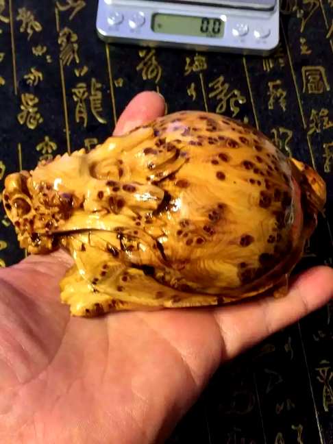 崖柏清香味细瘤龙龟尺寸115、78、55