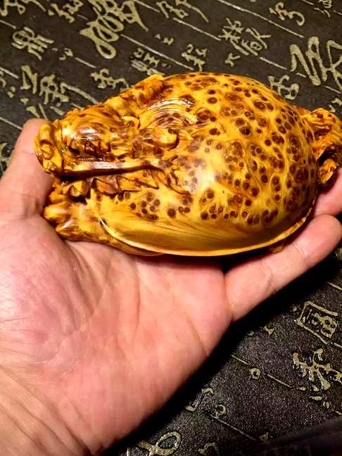 崖柏老料黄金底奶香味满细瘤龙龟重255克尺寸12、88、45优惠