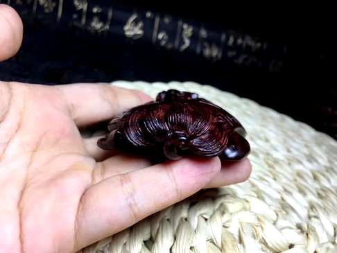 海黄紫油梨龙龟