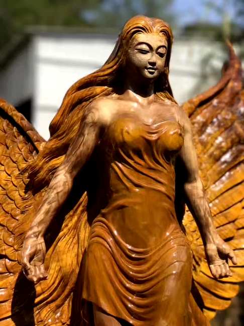 帝王金丝楠木「天使的翅膀」好东子自己代言自然光拍照实物更美