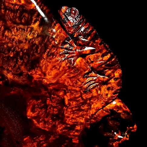 1888蜥蜴「吸亿」小叶紫檀千年老料火焰满