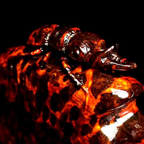 1888蜥蜴「吸亿」小叶紫檀千年老料火焰满