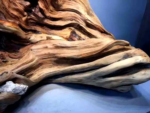 《达摩入定》取材于千年崖柏筋骨料天然根抱
