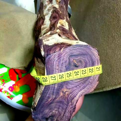 出一棵紫油梨原材料头图为出售的料后面为同料产品图材